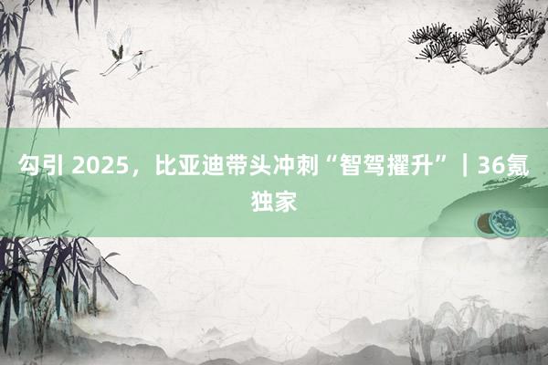 勾引 2025，比亚迪带头冲刺“智驾擢升”｜36氪独家